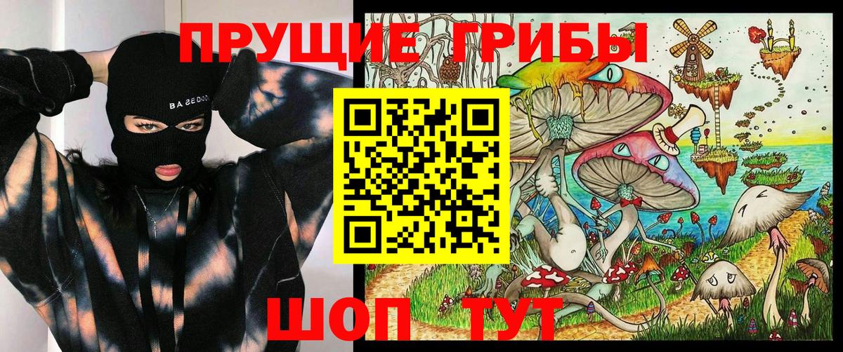 Кемерово  Псилоцибиновые грибы мицелий  Вход с VPN 