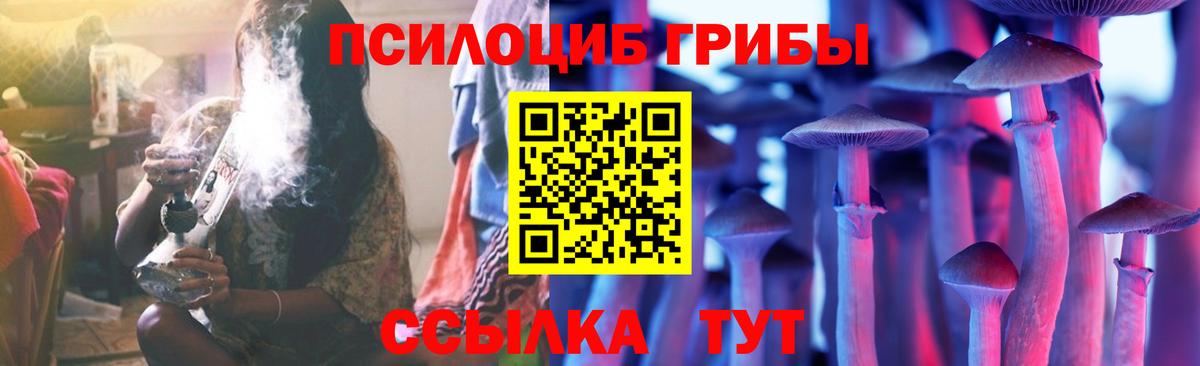 Псилоцибиновые грибы Psilocybine cubensis Кемерово